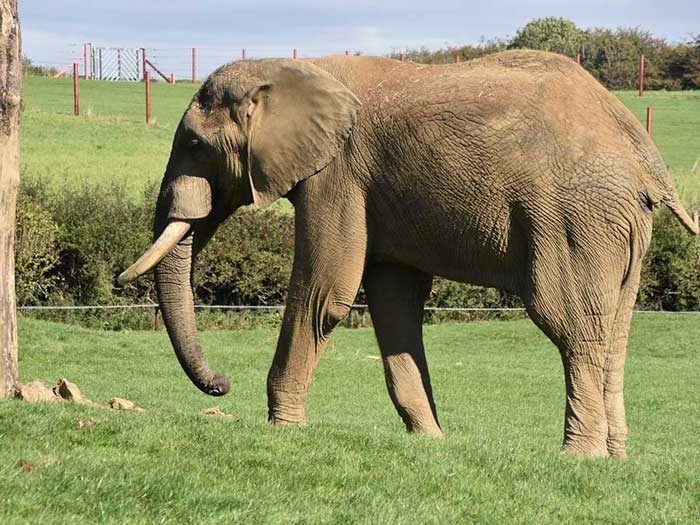 Know the Wildlife in person